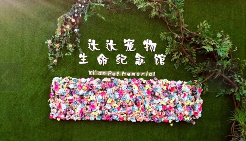 西安寵物墓地價(jià)格？西安寵物墓地在哪里？