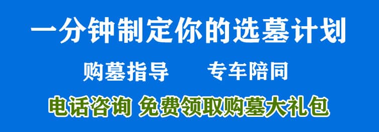 購墓指導(dǎo)、方案策劃
