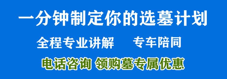 購(gòu)墓指導(dǎo)、方案策劃