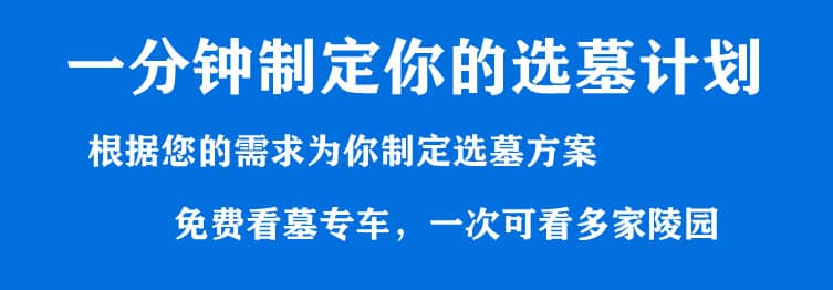 購墓指導(dǎo)、方案策劃