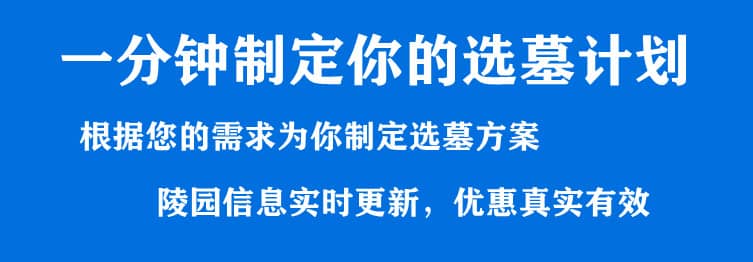 購墓指導(dǎo)、方案策劃
