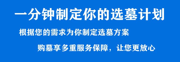 購墓指導(dǎo)、方案策劃