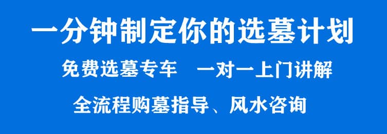 購墓指導(dǎo)、方案策劃
