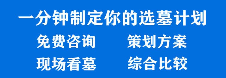 購墓指導(dǎo)、方案策劃
