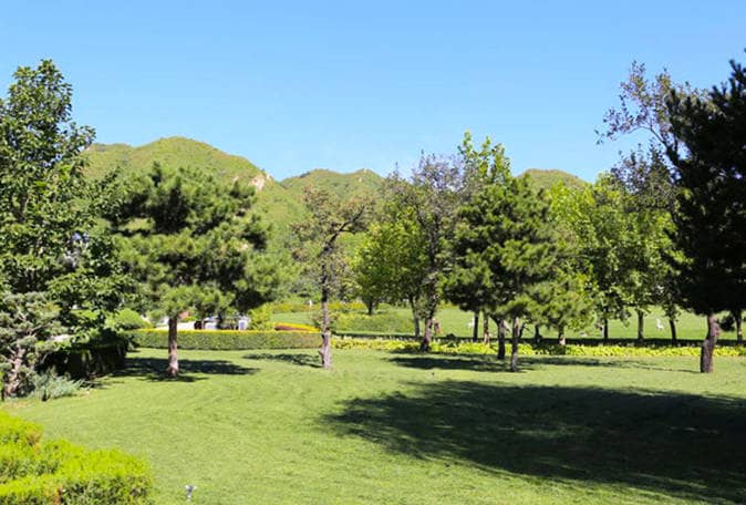 西安市南郊寢園管護中心在環(huán)境保護方面采取了哪些措施？