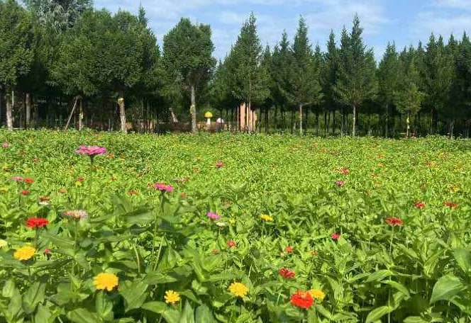 西安市奉正塬公墓介紹、圖片、電話