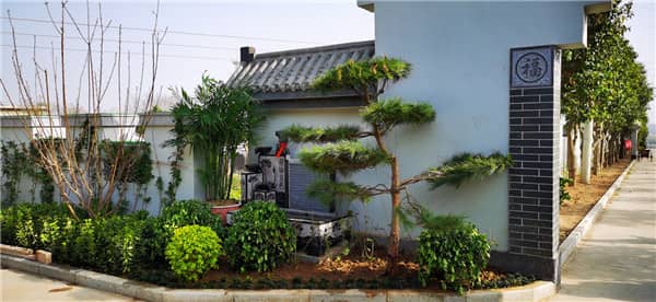 閻良漢皇樹葬墓園的整體建筑風(fēng)格和環(huán)境特點(diǎn)是什么？