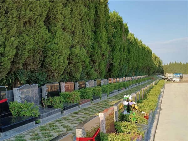 西安漢皇樹葬墓園的壁葬有哪些設(shè)計和價位選擇？