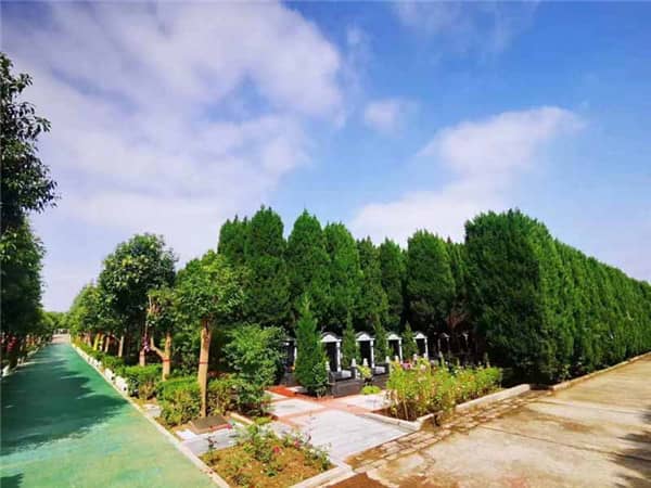西安閻良漢皇樹葬墓園中，哪些區(qū)域的墓位價格相對較高？
