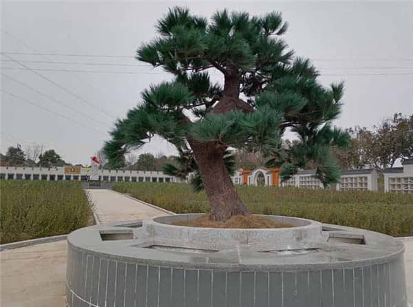 閻良漢皇樹(shù)葬骨灰公墓“軍魂苑”二期工程的建設(shè)進(jìn)展如何？
