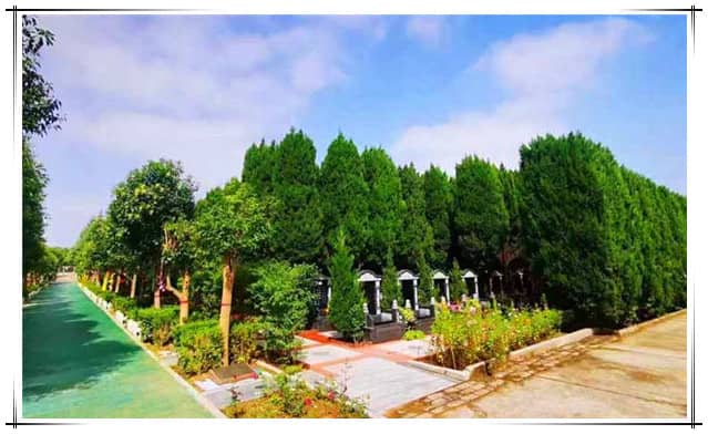 西安墓地多少錢(qián)一個(gè)？閻良漢皇樹(shù)葬墓園介紹
