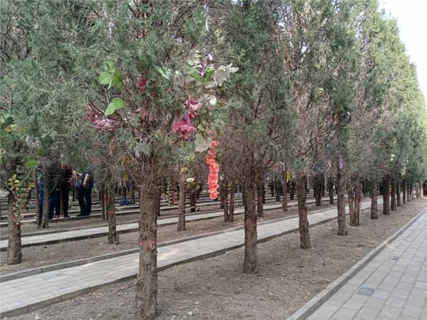 西安漢皇樹葬墓園如何體現(xiàn)綠色生態(tài)樹葬的理念？