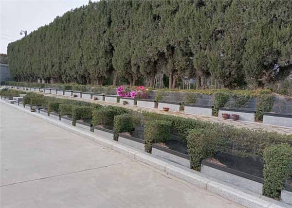 西安市樹葬墓園的費(fèi)用大概是多少？