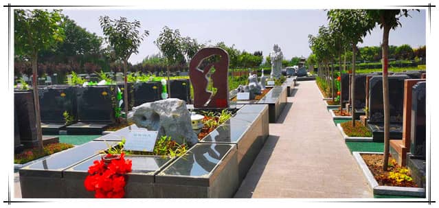西安漢皇樹(shù)葬墓地具體位置及周邊環(huán)境