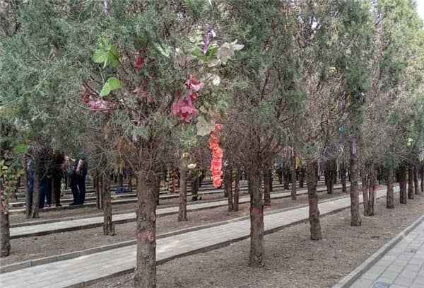 為什么九龍山公墓和漢皇樹葬墓園在西安市民中有較好的口碑？