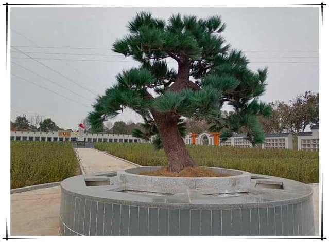 西安漢皇樹葬墓園的具體位置在哪里，其周邊環(huán)境如何？
