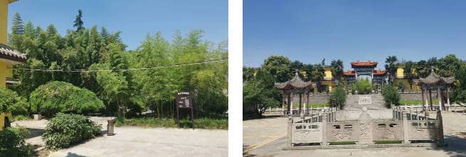 在西安鎬京墓園，如何預約專車接送選購服務？