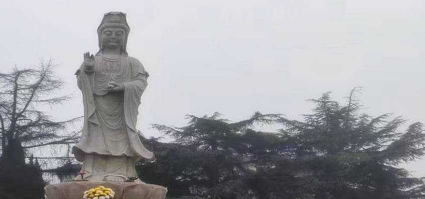 鳳棲山墓園南區(qū)：更新聯(lián)系方式，暢通服務(wù)通道