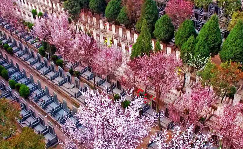 為什么西安鳳棲山墓園的室內(nèi)安葬適合希望親人能在優(yōu)雅環(huán)境中安息的家庭？