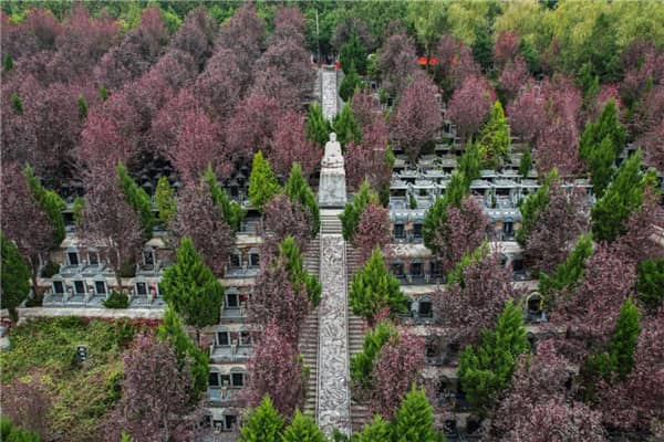 壽陽山墓園如何確保家屬能夠方便地參觀和考察，以及墓園的經(jīng)營性質和服務質量如何？