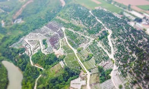 西安壽陽山墓園的環(huán)境和設(shè)施如何，以及它提供了哪些特色服務(wù)？