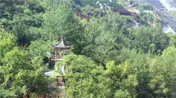 在西安公墓購買墓地的一般流程是什么？在選購過程中需要注意哪些事項？