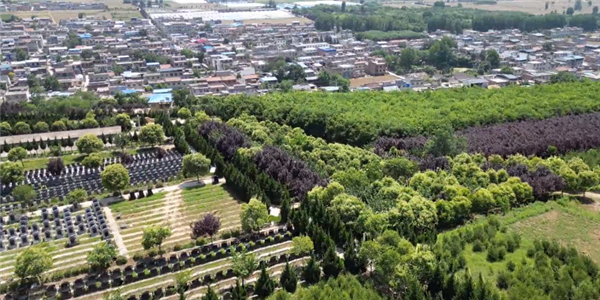 西安壽陽山墓園的墓地價(jià)格區(qū)間如何，是否適合不同預(yù)算的家屬？