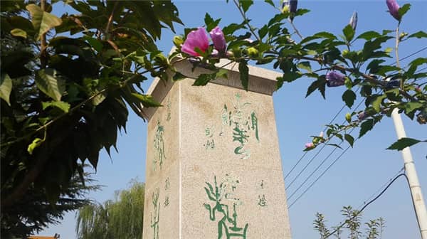 西安壽陽山墓園的單穴立碑和雙穴立碑有哪些特點？