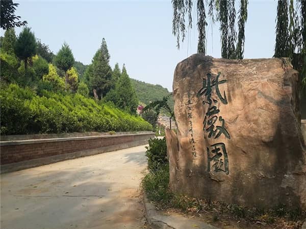 西安壽陽山墓園所在的砲里塬地區(qū)有哪些特色或文化背景？