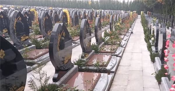 西安壽陽山墓園怎么樣