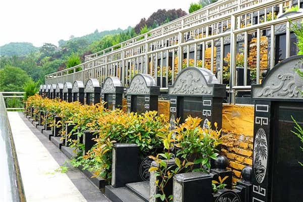 在壽陽山墓園，如果墓穴周圍的綠化出現(xiàn)了病蟲或枯死等問題，應該如何處理？
