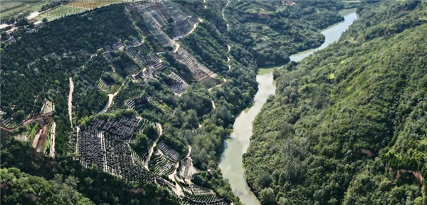 如果我選擇自駕前往西安壽陽(yáng)山公墓，有哪些比較便捷的路線可以選擇，各自的特點(diǎn)是什么？