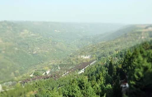 西安壽陽山公墓墓園的具體位置在哪里，周邊環(huán)境如何？