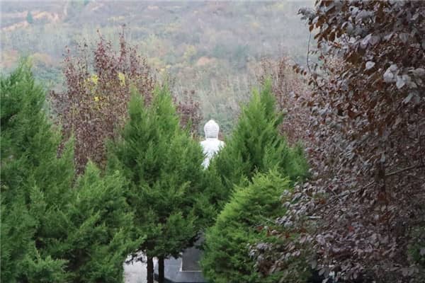 乘坐地鐵后如何換乘公交到達(dá)西安壽陽山公墓？