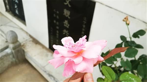 西安壽陽山墓園的安葬流程是怎樣的？有哪些關鍵環(huán)節(jié)需要注意？