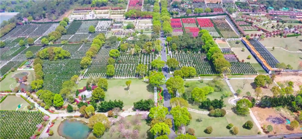西安壽陽(yáng)山墓園的花壇葬服務(wù)具體包括哪些內(nèi)容，如何確?；▔拈L(zhǎng)期整潔與美觀？