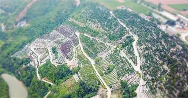 壽陽山墓園如何提供便捷的園區(qū)參觀服務(wù)？