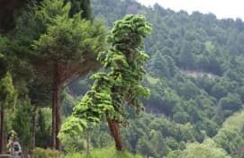 在重陽(yáng)佳節(jié)期間，西安壽陽(yáng)山墓園為訪客提供了哪些獨(dú)特的體驗(yàn)活動(dòng)？