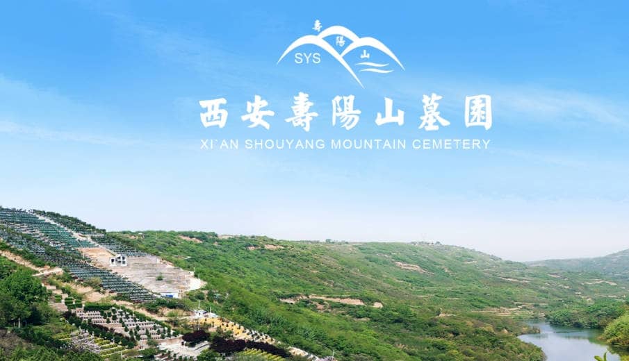 在西安壽陽山墓園的集中祭祀期間，家屬應(yīng)如何安排祭掃活動(dòng)以確保安全和順暢？