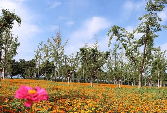 西安壽陽(yáng)山墓園掃墓通知，傾聽生命的故事