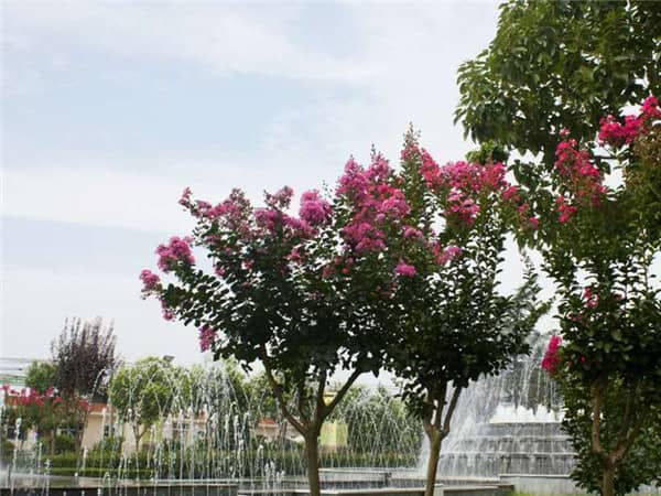 西安壽陽(yáng)山墓園大v