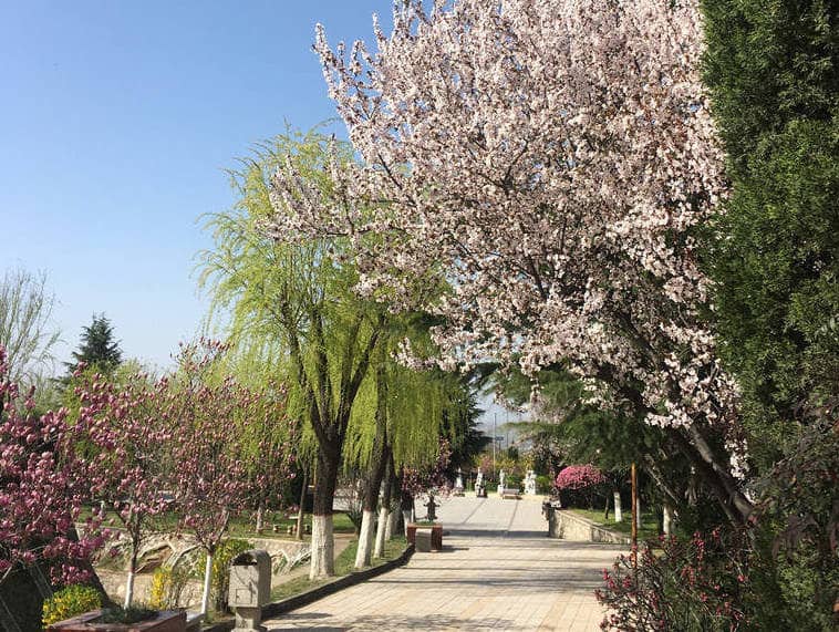 如何從南二環(huán)自駕前往長安慈恩園？