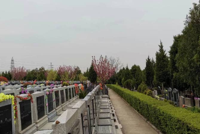 清明節(jié)期間，如何預(yù)約進(jìn)入棗園山墓進(jìn)行祭掃活動(dòng)？