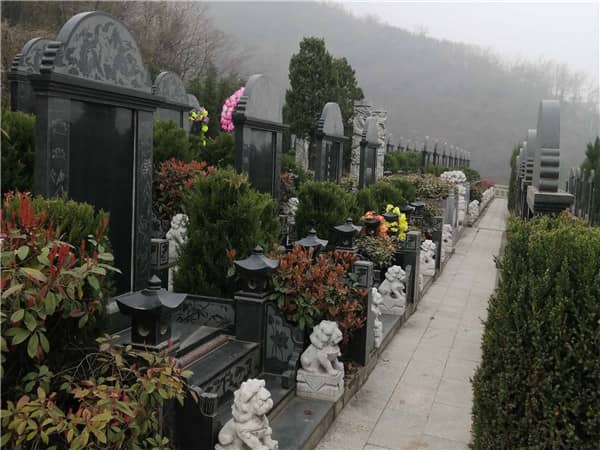 西安九龍山公墓在推出優(yōu)惠政策和活動時，是否會考慮客戶的特殊需求？