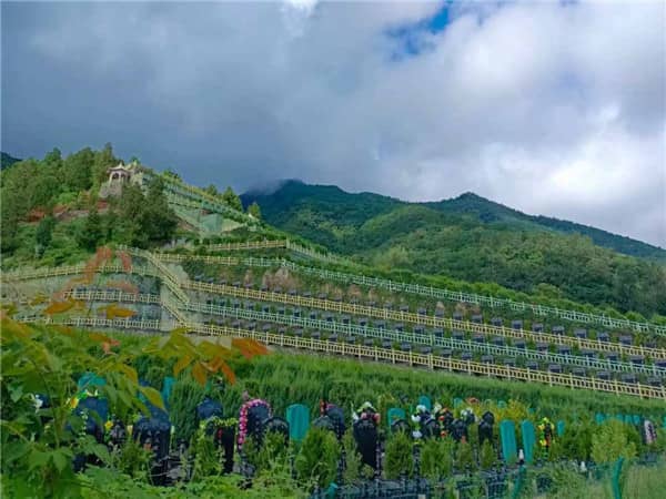 西安九龍山墓園收費，一鍵選墓