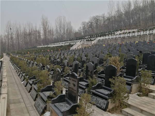 九龍山公墓是否適合長期保存逝者的遺物？