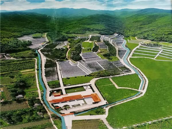 西安九龍山公墓的總規(guī)劃面積是多少，并且是如何進行區(qū)域劃分的？