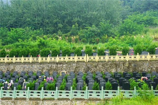 如何便捷到達(dá)九龍山公墓？