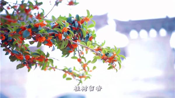 西安市霸陵墓園新區(qū)，心靈自由的放逐地