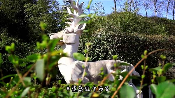 西安霸陵墓園新區(qū)價格范圍：透明合理，選擇多樣